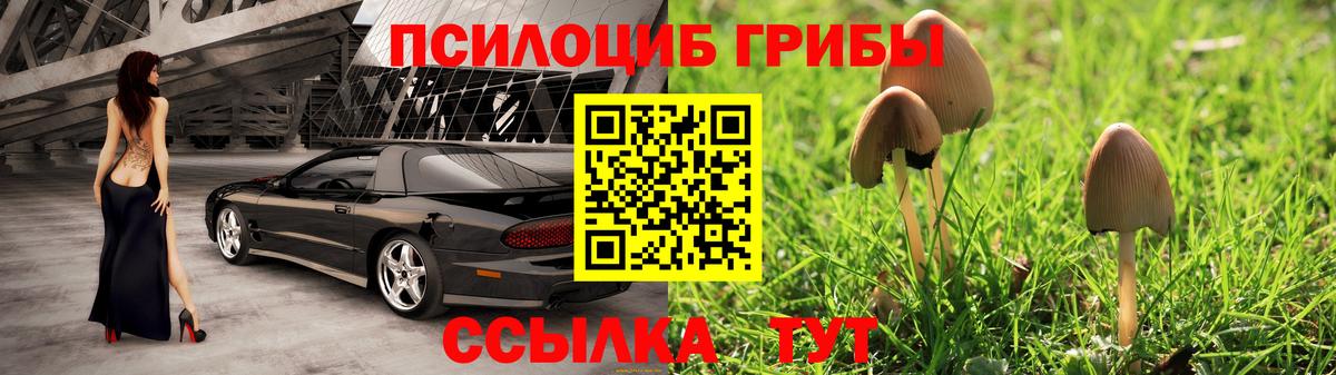 Псилоцибиновые грибы мицелий Ульяновск