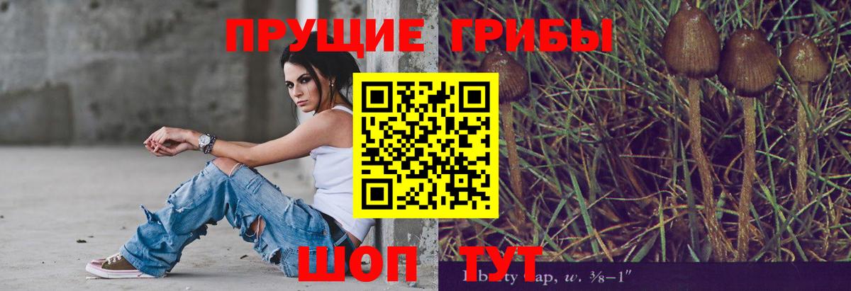 Ульяновск  Псилоцибиновые грибы ЛСД  Псилоцибиновые грибы мухоморы  Вход с VPN 